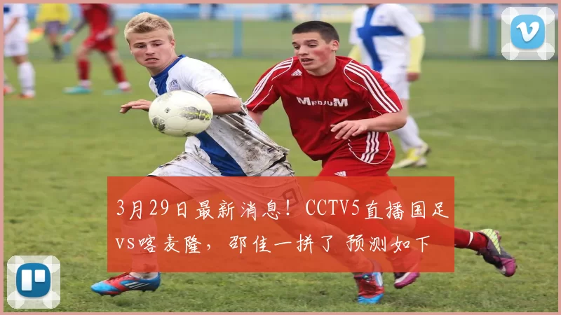 3月29日最新消息！CCTV5直播国足vs喀麦隆，邵佳一拼了 预测如下