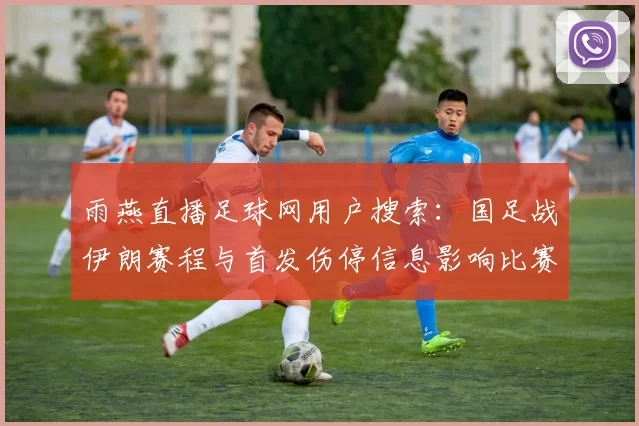 雨燕直播足球网用户搜索：国足战伊朗赛程与首发伤停信息影响比赛安排