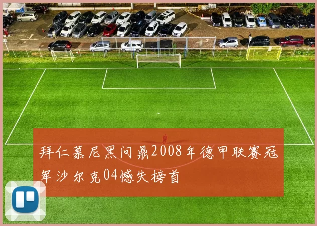 拜仁慕尼黑问鼎2008年德甲联赛冠军沙尔克04憾失榜首