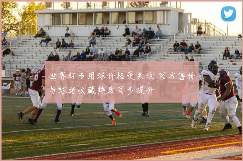 世界杯专用球价格受关注 官方售价与球迷收藏热度同步提升