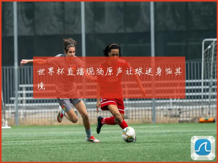 世界杯直播现场原声让球迷身临其境