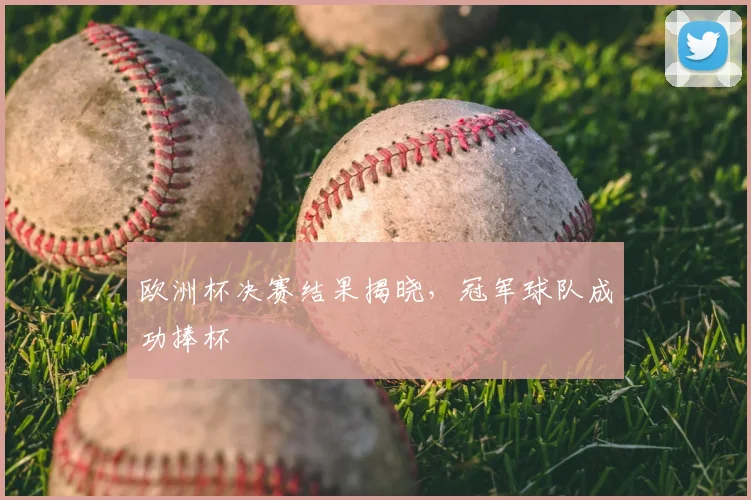 欧洲杯决赛结果揭晓，冠军球队成功捧杯