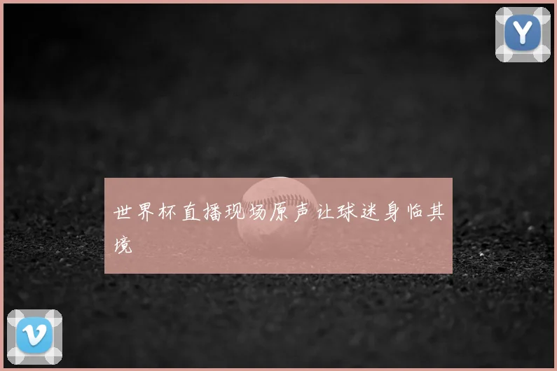 世界杯直播现场原声让球迷身临其境
